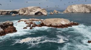 Reserva Nacional Sistema de Islas, Islotes y Puntas Guaneras (RNSIIPG)